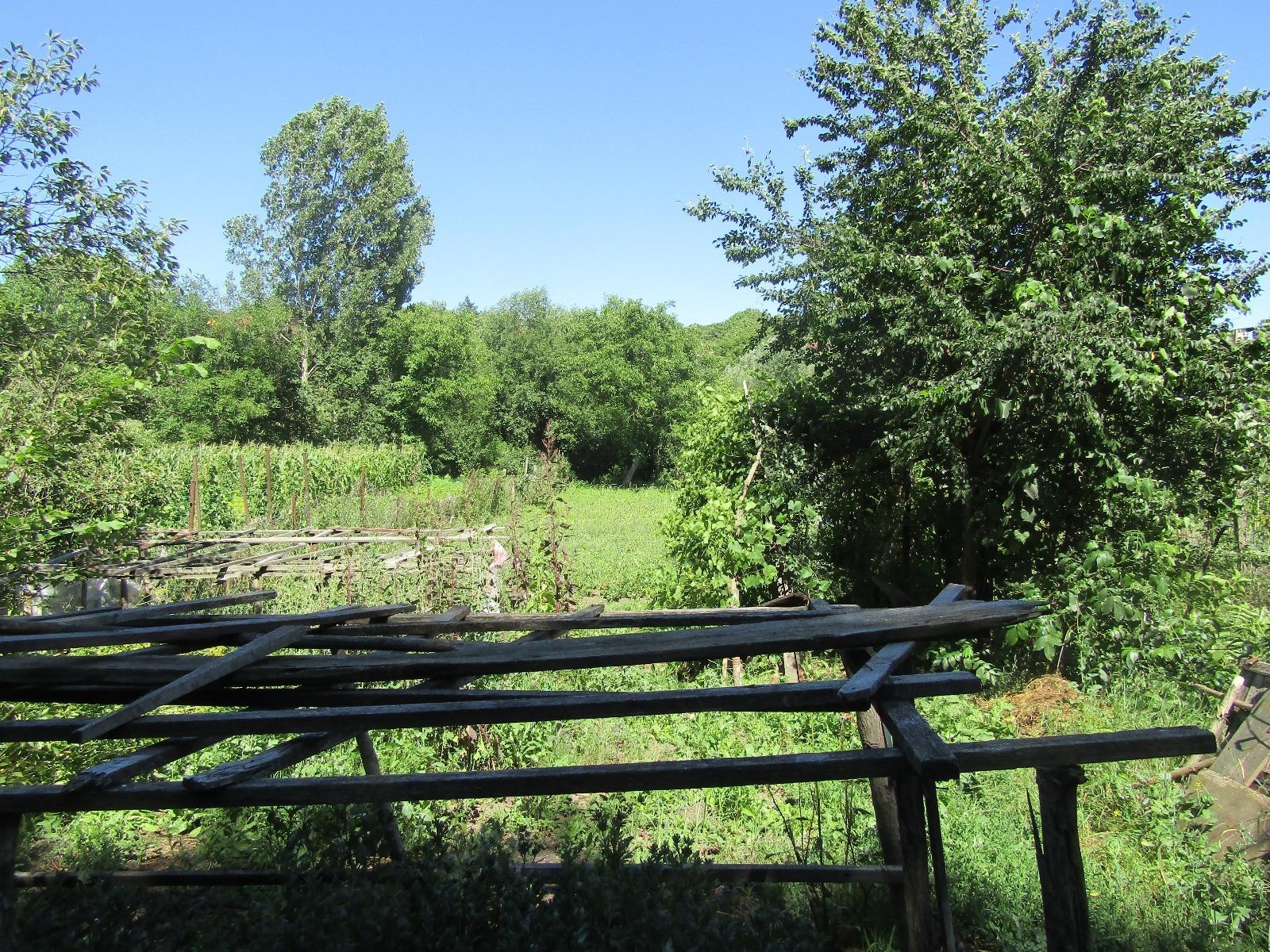 Casa de vânzare 1 camera Iris - 26634CV | BLITZ Cluj-Napoca | Poza3