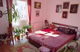 2 camere, 52 mp, decomandat, etaj intermediar, zona Constantin Brancusi
