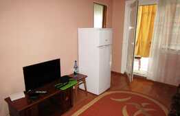 Garsoniera de inchiriat, 24 mp, etaj intermediar, zona Expo Transilvania