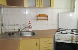 Garsoniera de inchiriat, 24 mp, etaj intermediar, zona Expo Transilvania