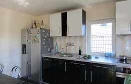 Vanzare casa individuala, 240 mp, 600 mp teren, zona de case