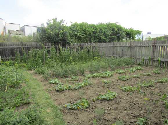 Casa de vânzare 4 camere Iris - 26657CV | BLITZ Cluj-Napoca | Poza5