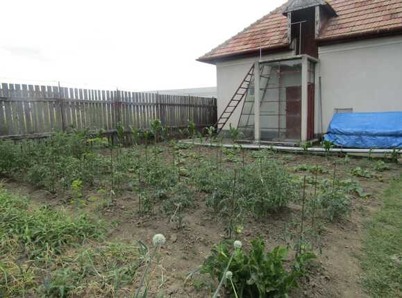 Casa de vânzare 4 camere Iris - 26657CV | BLITZ Cluj-Napoca | Poza3