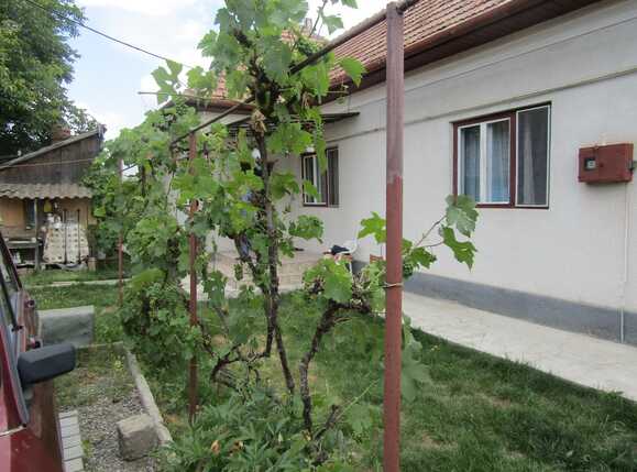 Casa de vânzare 4 camere Iris - 26657CV | BLITZ Cluj-Napoca | Poza1