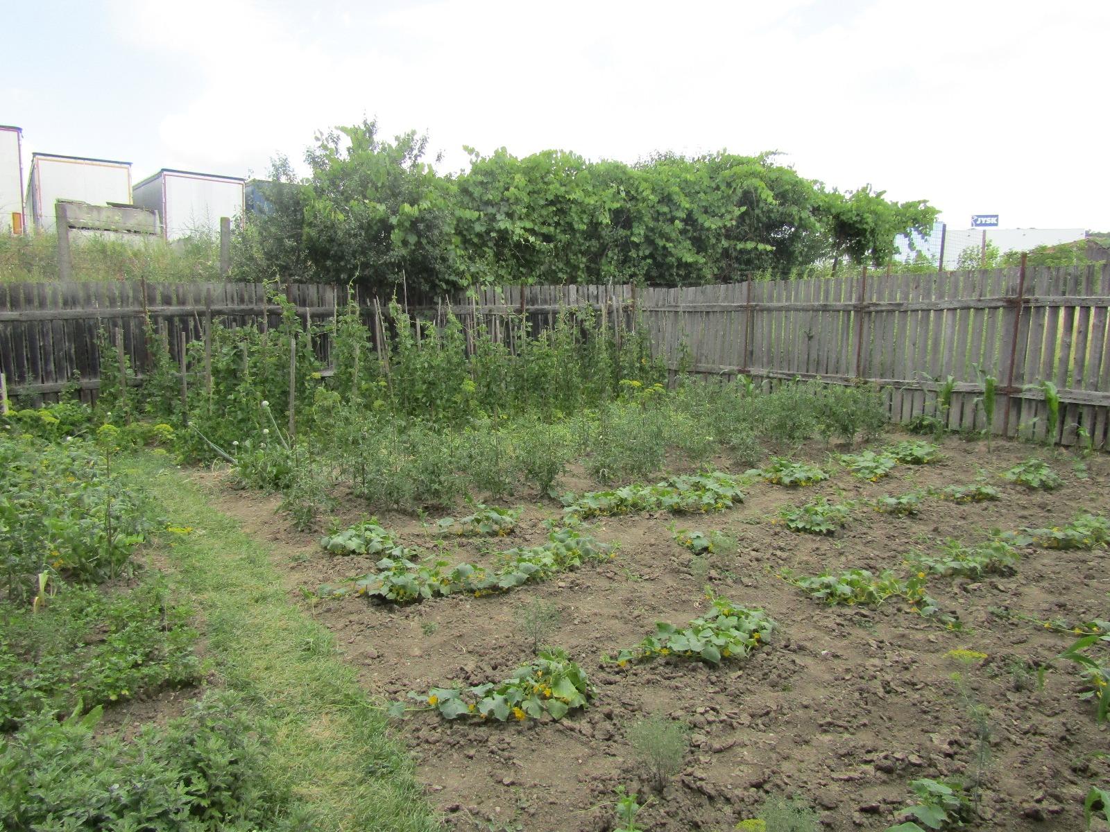 Casa de vânzare 4 camere Iris - 26657CV | BLITZ Cluj-Napoca | Poza5