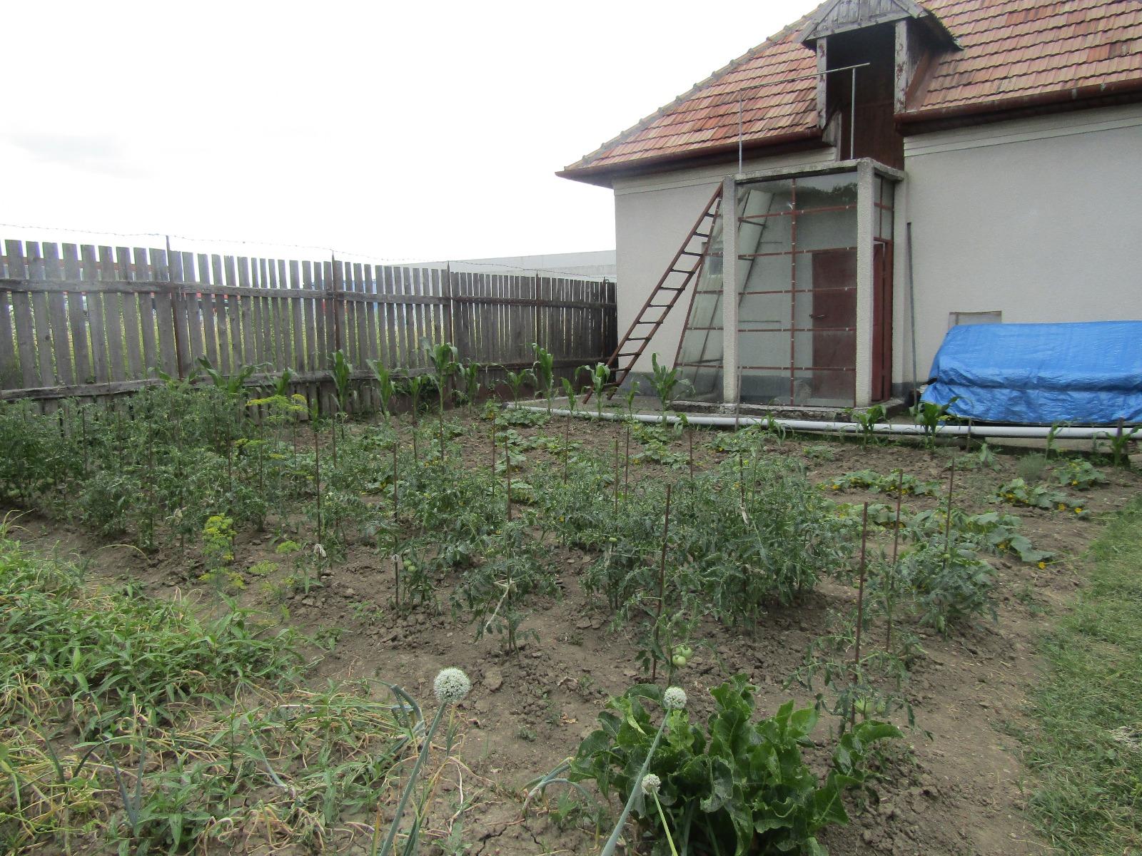 Casa de vânzare 4 camere Iris - 26657CV | BLITZ Cluj-Napoca | Poza3