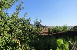 Casa demolabila, 50 mp, teren de 1541 mp, front 12 ml, zona Taietura Turcului