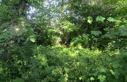 Casa demolabila, 50 mp, teren de 1541 mp, front 12 ml, zona Taietura Turcului