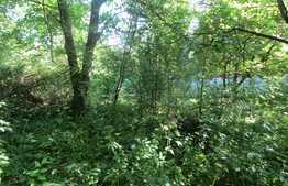 Casa demolabila, 50 mp, teren de 1541 mp, front 12 ml, zona Taietura Turcului