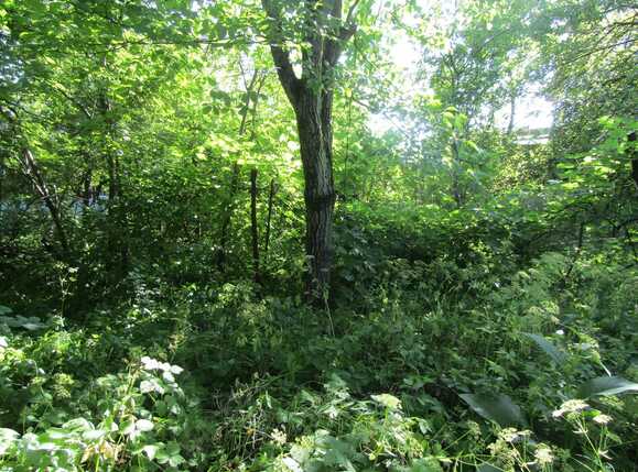 Casa de vânzare 1 camera Gruia - 26669CV | BLITZ Cluj-Napoca | Poza8