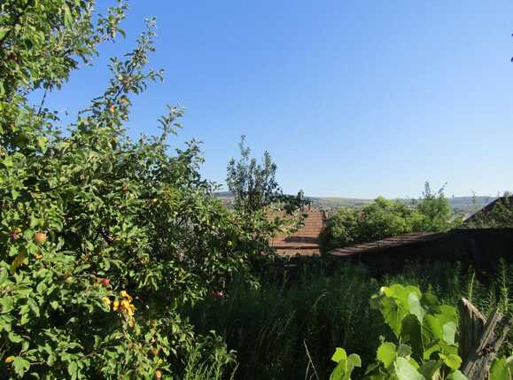 Casa de vânzare 1 camera Gruia - 26669CV | BLITZ Cluj-Napoca | Poza6