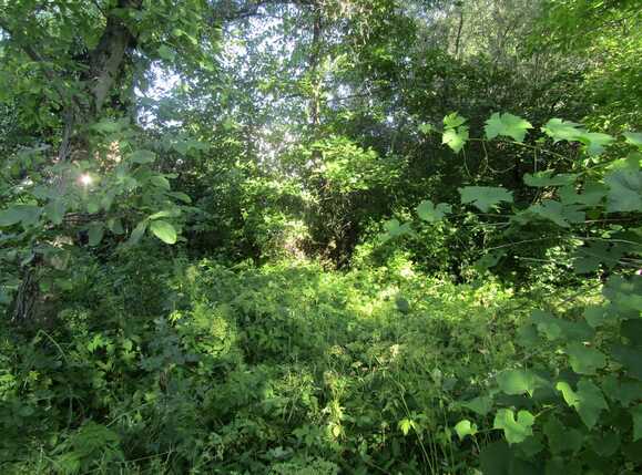 Casa de vânzare 1 camera Gruia - 26669CV | BLITZ Cluj-Napoca | Poza4