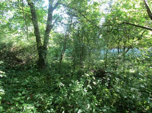 Casa de vânzare 1 camera Gruia - 26669CV | BLITZ Cluj-Napoca | Poza5