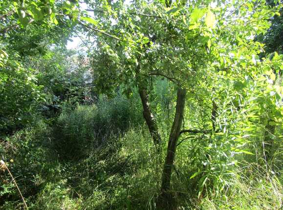 Casa de vânzare 1 camera Gruia - 26669CV | BLITZ Cluj-Napoca | Poza7