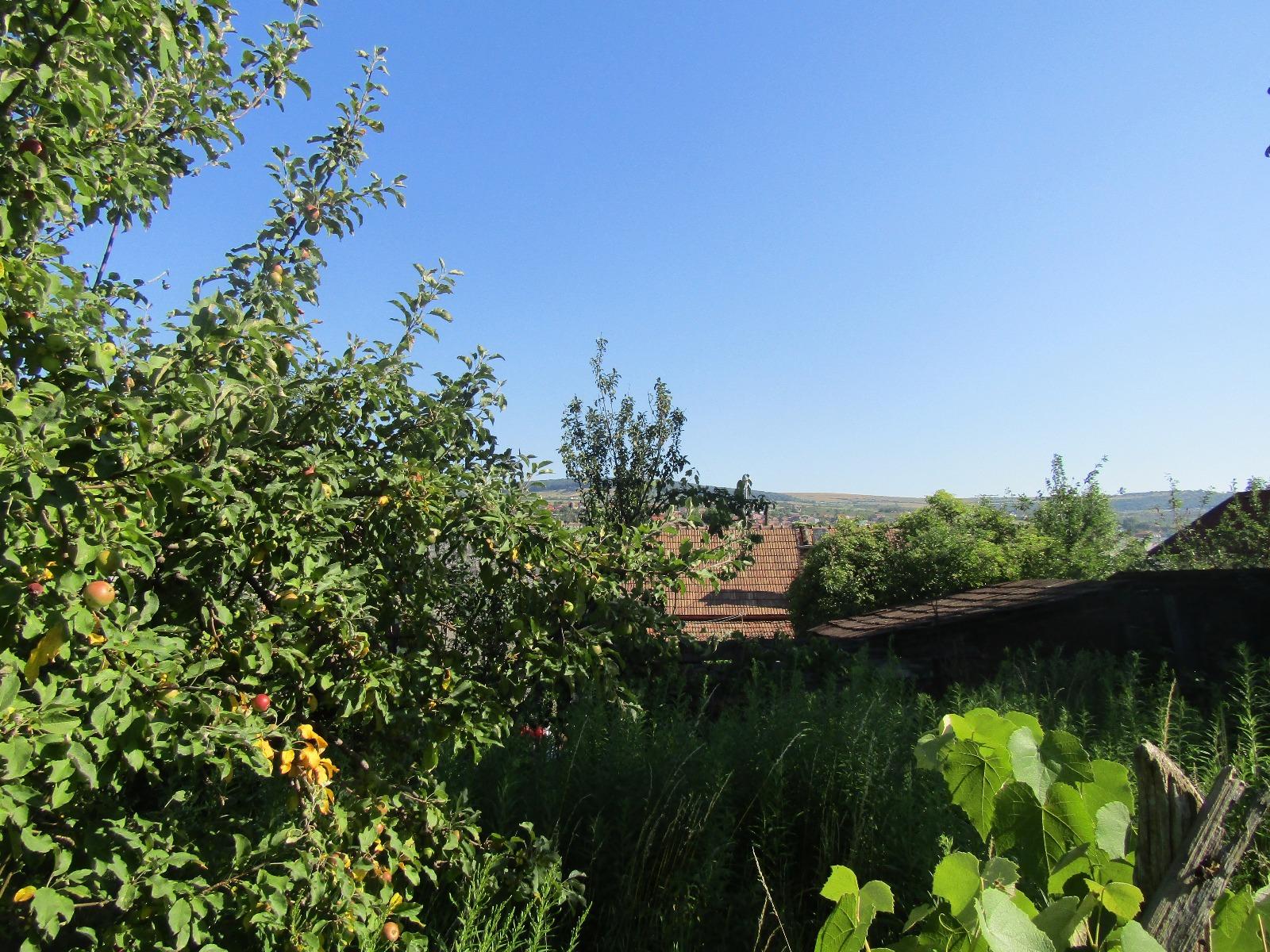 Casa de vânzare 1 camera Gruia - 26669CV | BLITZ Cluj-Napoca | Poza6