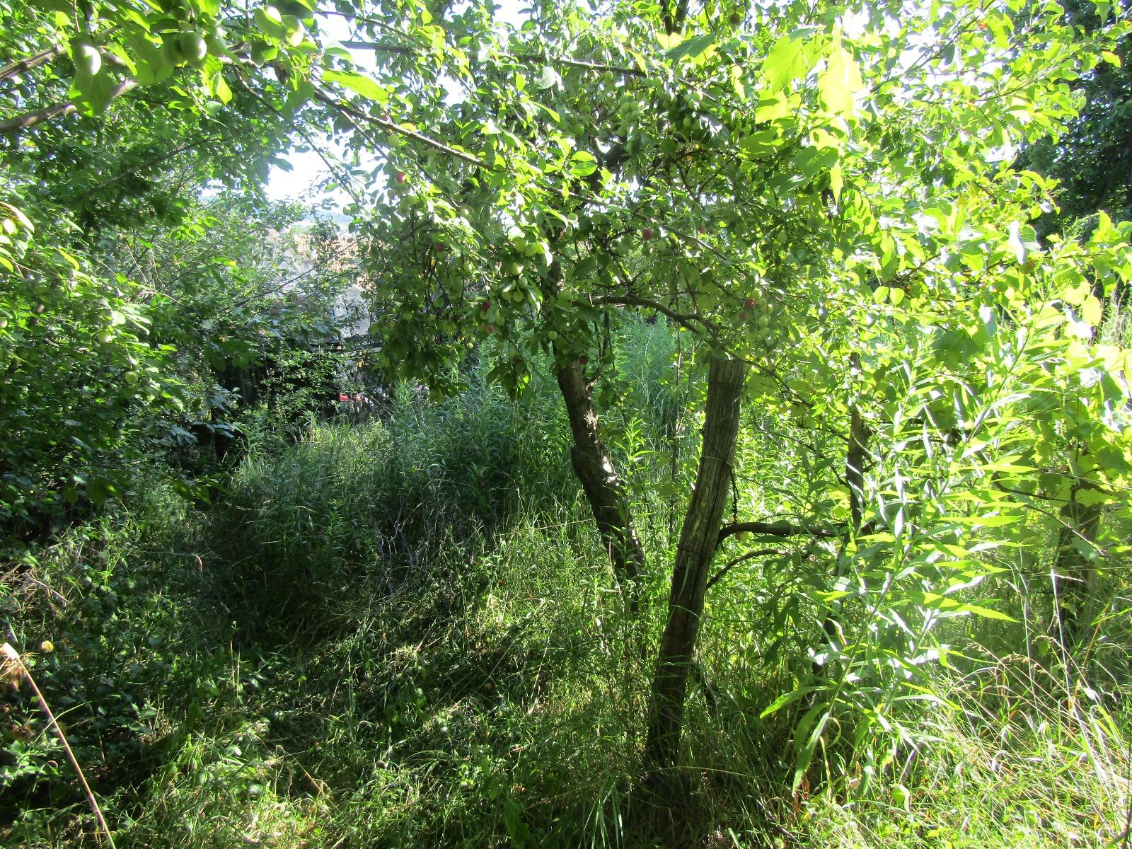 Casa de vânzare 1 camera Gruia - 26669CV | BLITZ Cluj-Napoca | Poza7