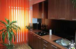 Vanzare 2 camere, 46 mp utili,  zona magazinului Profi, loc parcare