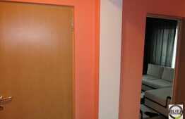 Vanzare 2 camere, 46 mp utili,  zona magazinului Profi, loc parcare