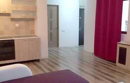 Apartament 2 camere, 60 mp, terasa 20 mp, zona strazii Campului