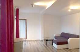 Apartament 2 camere, 60 mp, terasa 20 mp, zona strazii Campului