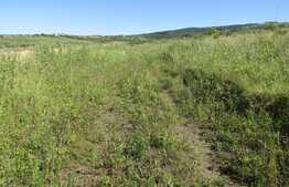 Teren intravilan, 521 mp, front 18 ml, zona linistita