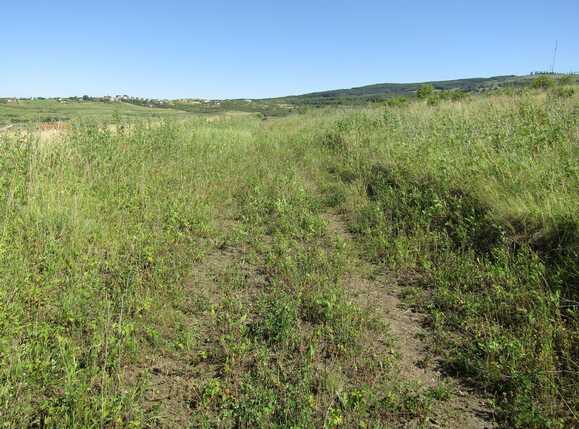 Teren de vânzare Borhanci - 26680TV | BLITZ Cluj-Napoca | Poza6