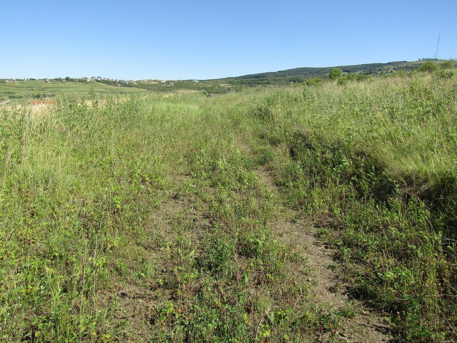 Teren de vânzare Borhanci - 26680TV | BLITZ Cluj-Napoca | Poza6