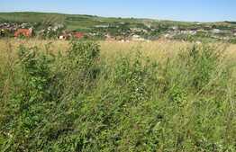 Vanzare teren 550 mp,  front 19, zona linistita, nou dezvoltata