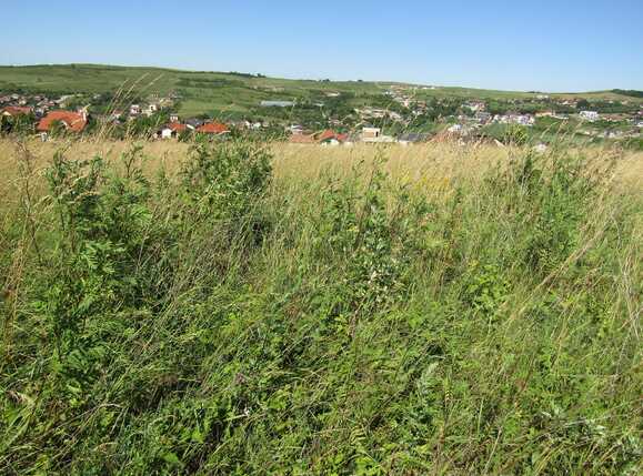 Teren de vânzare Borhanci - 26681TV | BLITZ Cluj-Napoca | Poza7