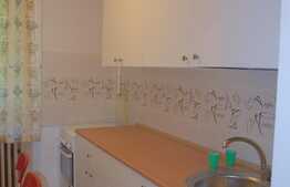 Apartament 2 camere, 47 mp, mobilat modern, zona Iulius Mall