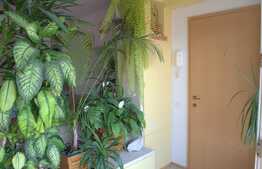 Apartament 2 camere + mezanin, 60 mp, prima inchiriere, zona FSPAC