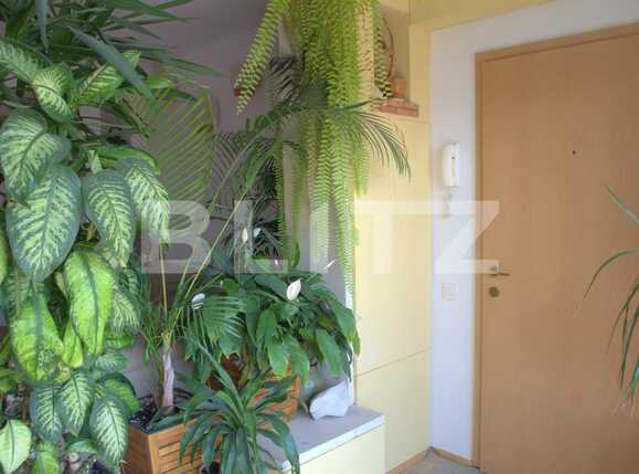 Apartament de închiriat 2 camere Central - 26684AI | BLITZ Cluj-Napoca | Poza12