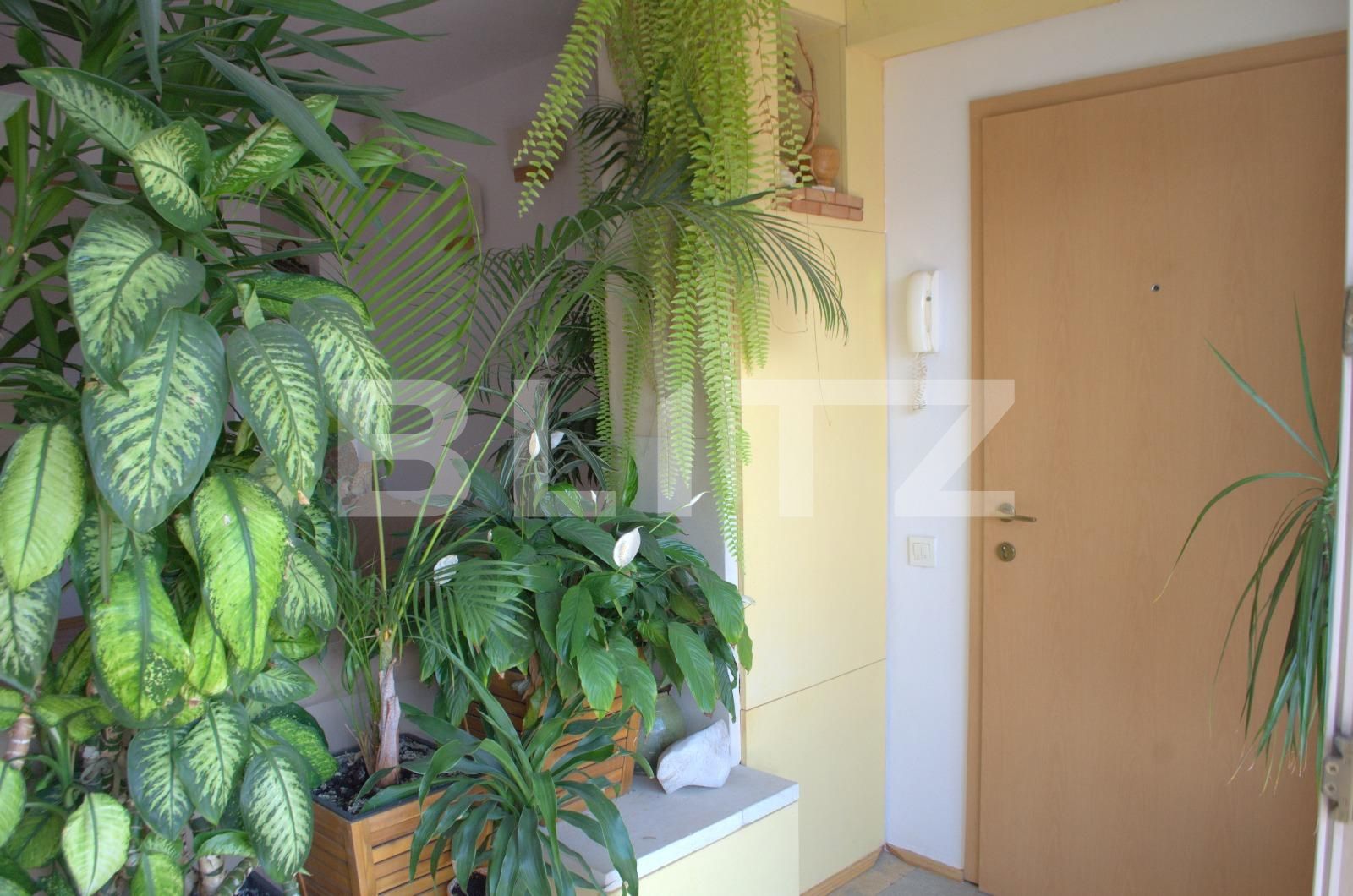 Apartament de închiriat 2 camere Central - 26684AI | BLITZ Cluj-Napoca | Poza12