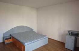 Apartament 1 camera, 45 mp, decomandat, zona strazii Fagului