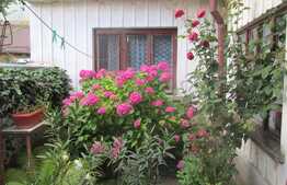 De vanzare casa interbelica zona centrala , 68,67 mp, teren 176 mp, front 9 ml, zona centrala!