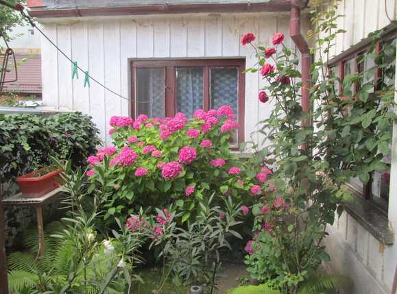 Casa de vânzare 3 camere Central - 26686CV | BLITZ Cluj-Napoca | Poza15