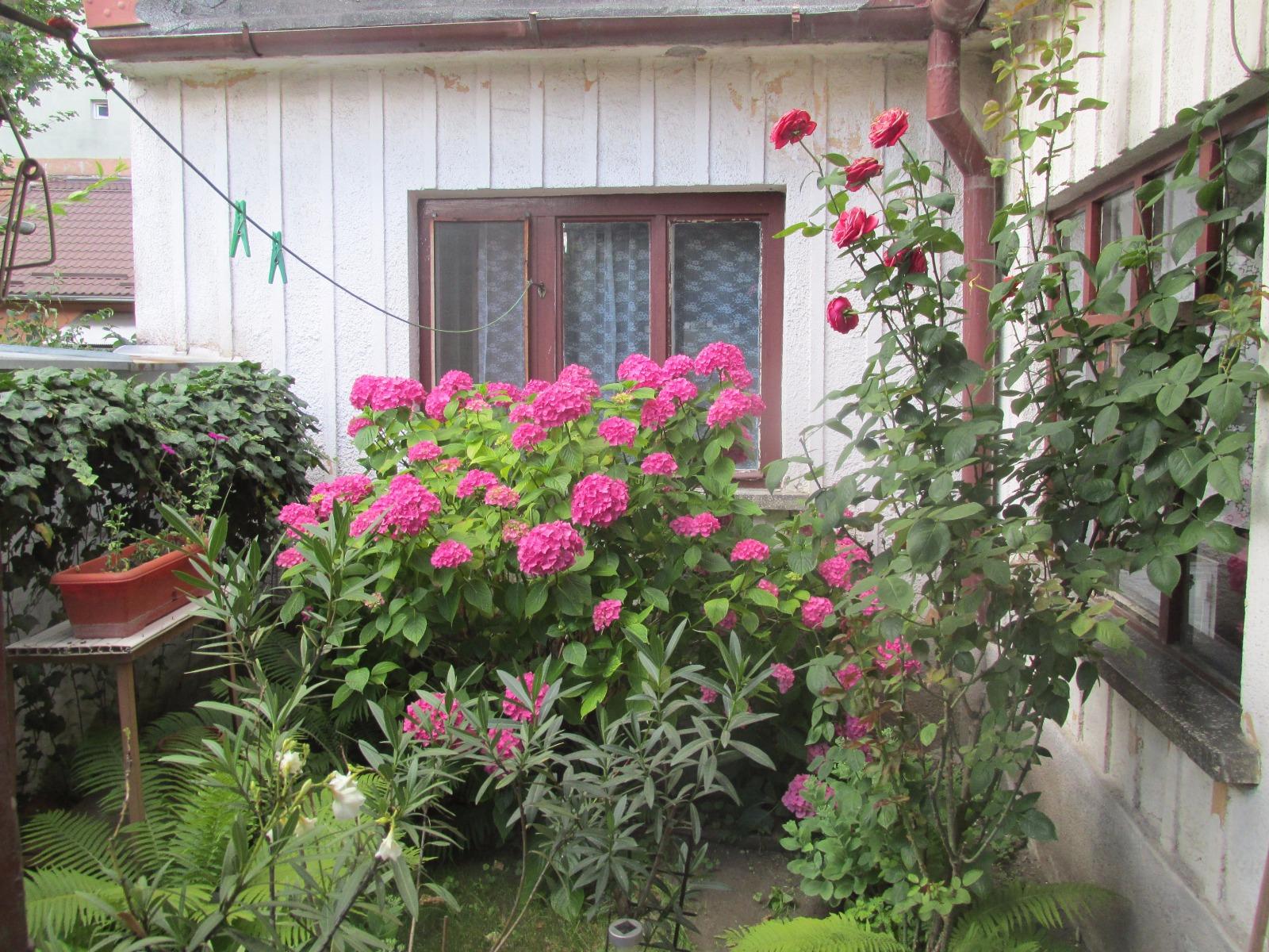 Casa de vânzare 3 camere Central - 26686CV | BLITZ Cluj-Napoca | Poza15