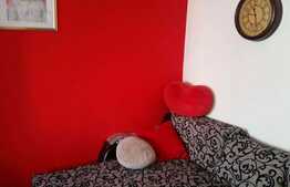 De vanzare garsoniera 21 mp, etaj intermediar, zona Expo Transilvania