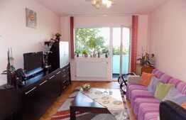 Apartament 2 camere, 50 mp, modern, zona Facultatii Bogdan Voda