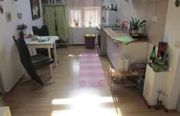 De vanzare apartament 58 mp, 2 camere! Zona strazii Florilor!