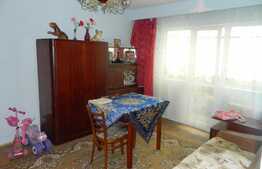 De vanzare apartament 3 camere, 55 mp, garaj, 2 boxe, zona Big