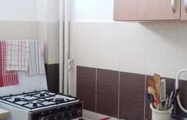 Garsoniera 28 mp, etaj intermediar, zona strazii Grigore Alexandrescu