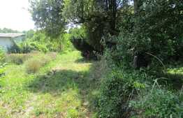 Teren de vanzare situat in Iris, 3400 mp cu front de 35 ml, utilitati in zona