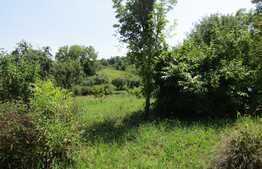 Teren de vanzare situat in Iris, 3400 mp cu front de 35 ml, utilitati in zona