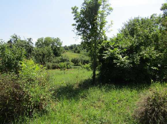 Teren de vânzare Iris - 26741TV | BLITZ Cluj-Napoca | Poza1