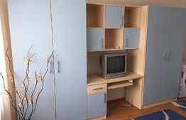 Garsoniera 22 mp, zona Bulevardului Muncii