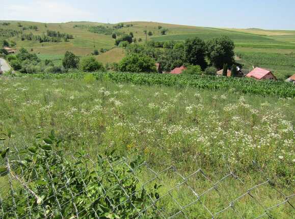 Teren de vânzare Baciu - 26743TV | BLITZ Cluj-Napoca | Poza6