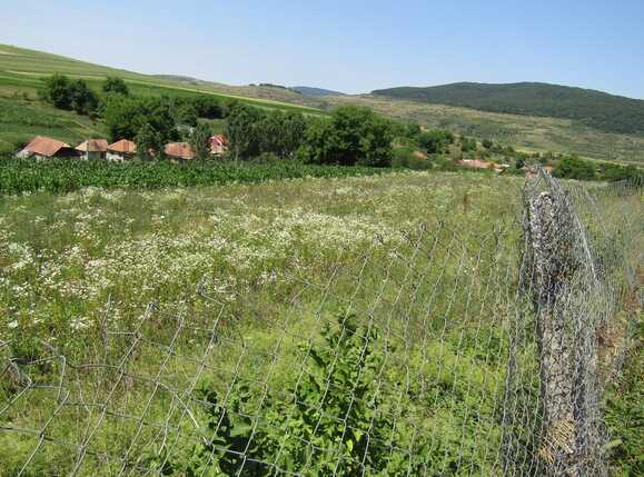 Teren de vânzare Baciu - 26743TV | BLITZ Cluj-Napoca | Poza4