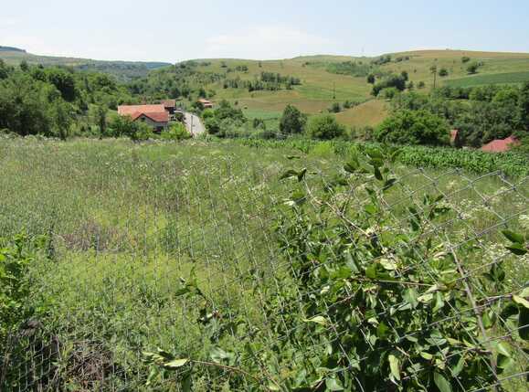 Teren de vânzare Baciu - 26743TV | BLITZ Cluj-Napoca | Poza2