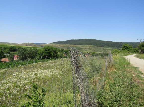 Teren de vânzare Baciu - 26743TV | BLITZ Cluj-Napoca | Poza1